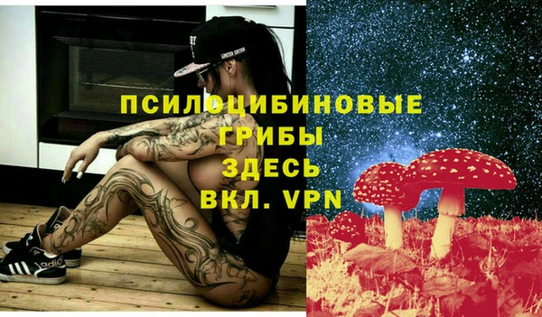 ALPHA PVP Касимов