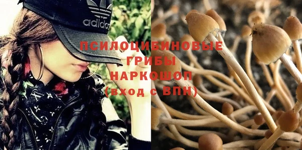 мдма Карпинск