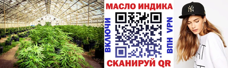 ТГК гашишное масло  Купить где  Махачкала 