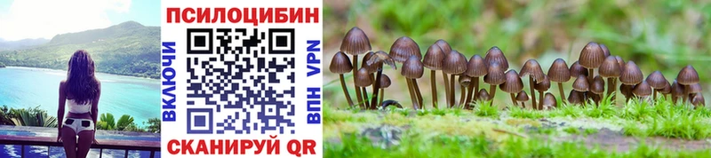 Галлюциногенные грибы MAGIC MUSHROOMS  Купить где  Махачкала 